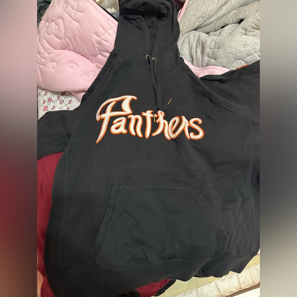 Panthers sweater